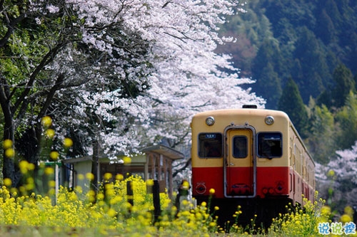 比較特別的女生說(shuō)說(shuō)2019精選帶圖片 忍不住想點(diǎn)贊的女生說(shuō)說(shuō)9