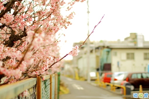 很深情很撩人的情話帶圖片 融化人心的小可愛女生說說12