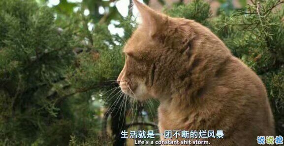 微信勵(lì)志說(shuō)說(shuō)圖片帶字：有時(shí)間絕望，還不如去吃美食然后睡個(gè)覺1