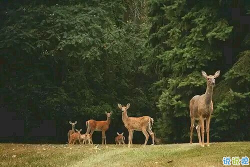 突然不喜歡一個(gè)人/放棄一個(gè)人是一種什么樣的感受？8