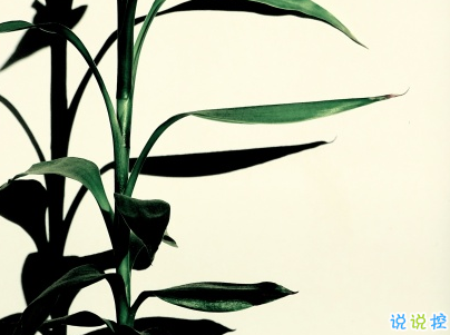 2019植樹節(jié)微信說說帶圖片 適合植樹節(jié)發(fā)的的心情說說短語2