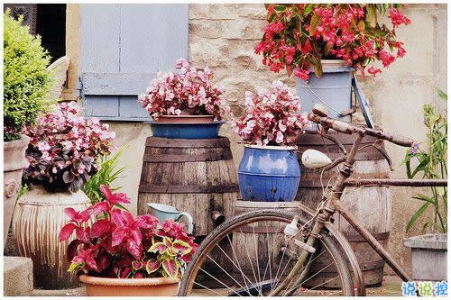 2019春分適合發(fā)朋友圈的說說句子帶圖片 今日春分早安經(jīng)典說說12