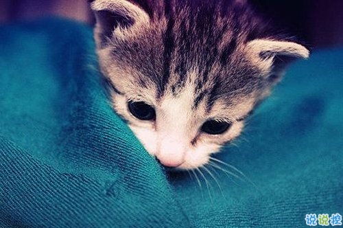 看透愛情的悲傷說(shuō)說(shuō)心痛分手帶圖片 開始很感動(dòng)過(guò)程很精彩結(jié)局不想說(shuō)14