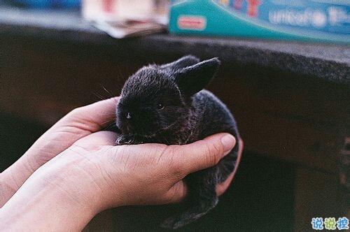 一句話勵(lì)志正能量心靈雞湯句子 簡(jiǎn)單的正能量經(jīng)典句子2