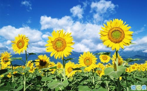 睡前說一句的微信晚安勵志句子 簡單正能量的晚安句子合集1