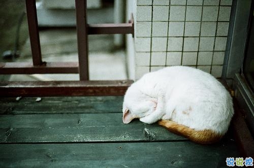 2018看完想哭的傷感說說配圖 心好累了愛情太累了的傷感說說1