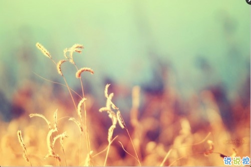 關(guān)于敏感人的說說帶圖片 敏感的人會(huì)怎么自我折磨13