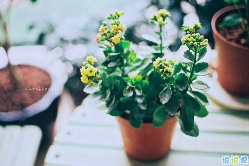 很勵(lì)志的關(guān)于成長青春和夢想的感悟人生的說說帶圖片15