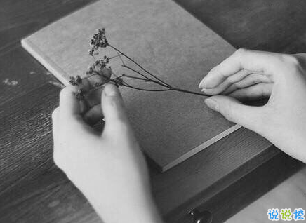 傷感憂郁心情說(shuō)說(shuō)帶圖片2018 原諒我一生愛(ài)憎分明不討巧7