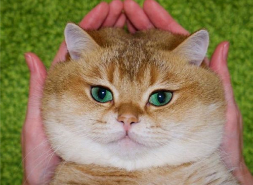 可以戳中中你笑點(diǎn)的搞笑說說帶圖片8