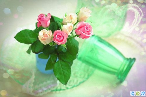 2019關于春分的微信說說帶圖片 春分節(jié)氣早安祝福語10