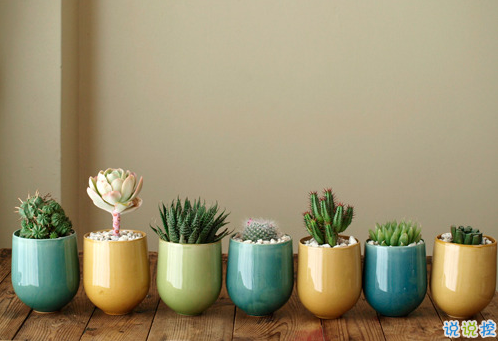 2019最新霸氣獨(dú)特的說(shuō)說(shuō)帶圖片 現(xiàn)在很受歡迎的一些個(gè)性句子13