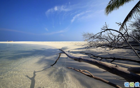 和前任說再見適合發(fā)朋友圈的一句話說說 告別前任的句子說說大全1