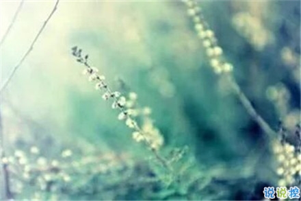 抖音經(jīng)典好聽的愛情說說 心有多近那么距離就有多近2