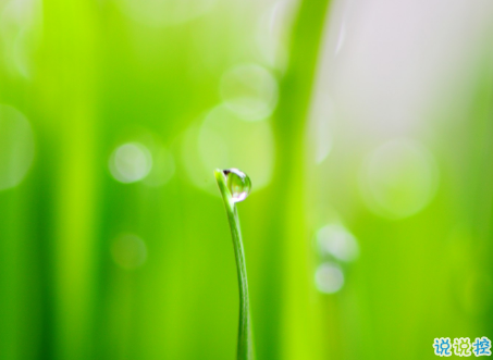 微信朋友圈治愈系早安心語說說 溫暖小清新早安說說大全7