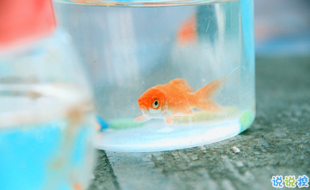 艾特自己的自嘲句子說(shuō)說(shuō)文字控 有關(guān)艾特自己的個(gè)性說(shuō)說(shuō)1