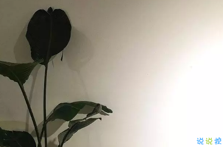 2018傷感說(shuō)說(shuō)讓人流淚的說(shuō)說(shuō)及配圖 說(shuō)說(shuō)配圖傷感流淚送給悲傷的自己6