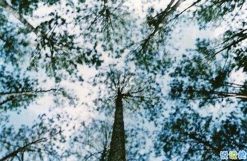 2018關(guān)于夢想的哲理句子 2018正能量奮斗的句子2