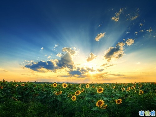 人生感悟說說剪短一點(diǎn)的 經(jīng)歷成長(zhǎng)的經(jīng)典說說合集2