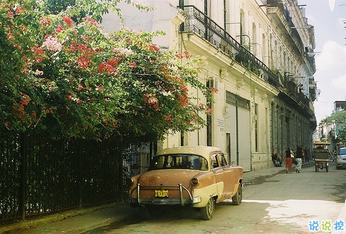 那些抖音中唯美的小清新圖片句子 浮世萬千吾愛有三11