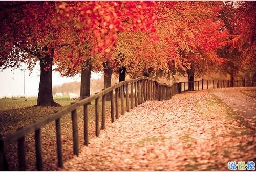 簡(jiǎn)單一句話愛(ài)情說(shuō)說(shuō)心情短語(yǔ) 2019發(fā)朋友圈的經(jīng)典愛(ài)情說(shuō)說(shuō)2