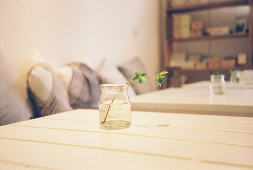 關(guān)于愛情的經(jīng)典說說 有些愛只能止于唇齒掩于歲月2