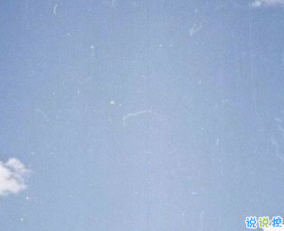 2019火爆的搞笑說說大全逗比專屬 笑得直不起腰的一些句子2