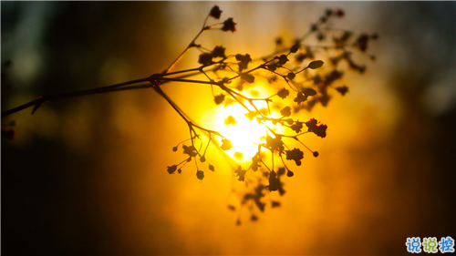 姑娘，我有15句悄悄話說(shuō)給你聽(tīng)。9