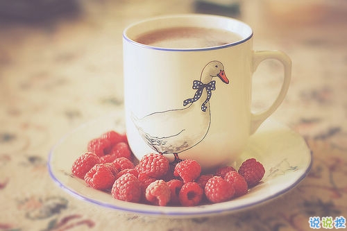 2019微信超文藝說說加配圖 很流行的文藝范經(jīng)典說說大全8