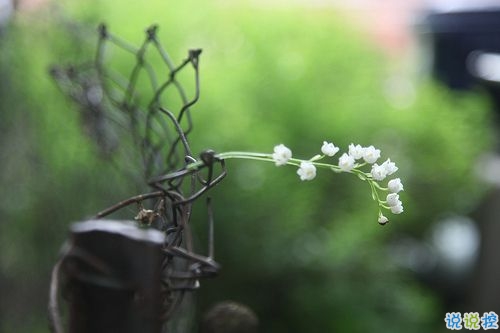 對愛一往情深的經(jīng)典說說帶圖片 文藝愛情小短句表達愛意5