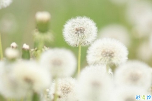 關(guān)于現(xiàn)實的人生感悟帶圖片 27條值得收藏和學(xué)習(xí)的經(jīng)典說說大全12