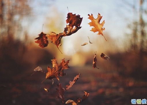 男生被分手的說說心情短語(yǔ) 一瞬間心如刀絞的傷感句子1