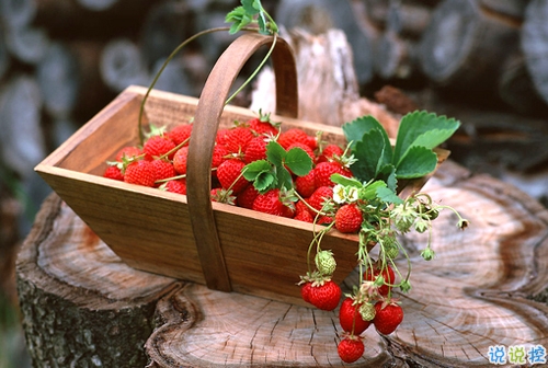 朋友圈曬美食的搞笑說說帶圖片 關于吃貨的說說簡短精辟201914