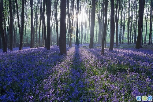 心情郁悶的傷感說(shuō)說(shuō)帶圖片 夜里睡不著覺(jué)的傷感心情說(shuō)說(shuō)配圖2