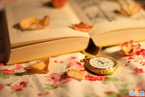 很有道理的一句話人們常說的經典說說 生活人生的感悟經典說說1