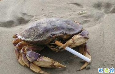 有意思的圖片加說(shuō)說(shuō) 適合發(fā)朋友圈的搞笑段子圖片13