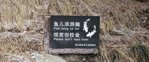 超搞笑的英語翻譯/中式翻譯說說帶圖片6