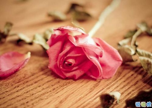 15條愛情說說我的心里話 愛情中最真實(shí)的感受說說配圖12