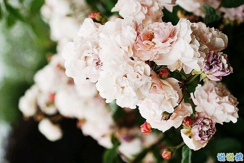 2019心里難受的說(shuō)說(shuō)帶圖片 一絲絲難過(guò)的朋友圈說(shuō)說(shuō)2