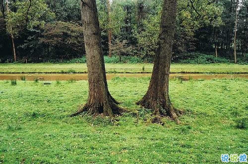 唯美英文勵(lì)志正能量感悟人生的句子和圖片9