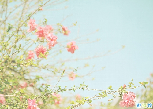 2019年抖音個性說說大全 非常有意思的個性說說帶圖片2