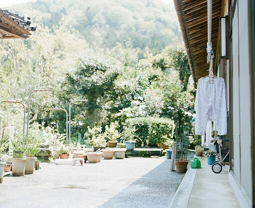 愛情中的甜蜜句子 很甜很少女的愛情情話句子1