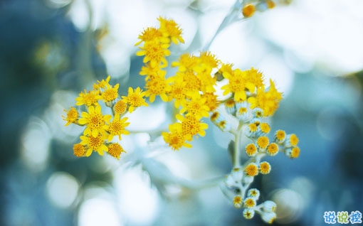 最美好的愛情說說大全 簡(jiǎn)單幸福說說心情短語1