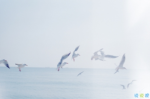 簡單唯美的一句話圖片說說有道理的那種 生活需要一點詩意7