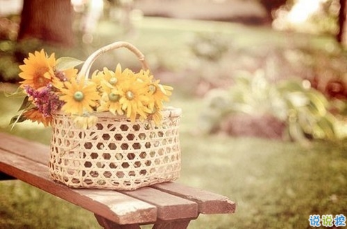 女生唯美傷感說(shuō)說(shuō)帶圖片 一句話描述心情不好的說(shuō)說(shuō)12