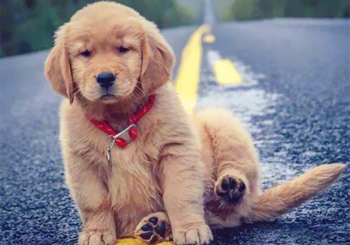 可以戳中中你笑點(diǎn)的搞笑說說帶圖片15