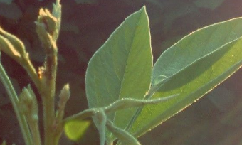 在夢里也會潸然淚下的說說帶圖 如果時光倒流峩捫能抓得住什么13