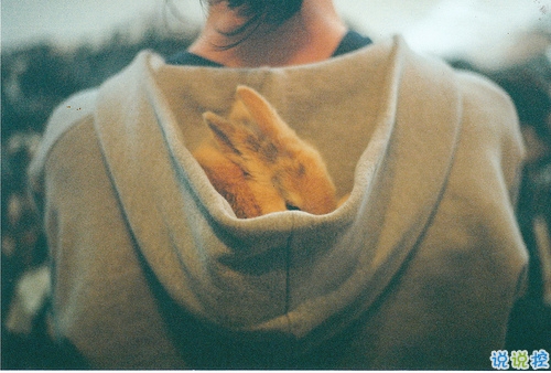 qq個性說說大全好聽的 獨一無二的個性說說2019最新2