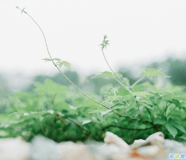 關(guān)于一個人旅行的精辟哲理說說帶圖片 每一次旅行其實都是一場修行1