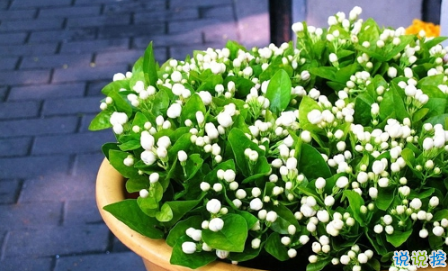 表示無聊的朋友圈說說帶圖片：無聊，是人生的一種正?，F(xiàn)象14